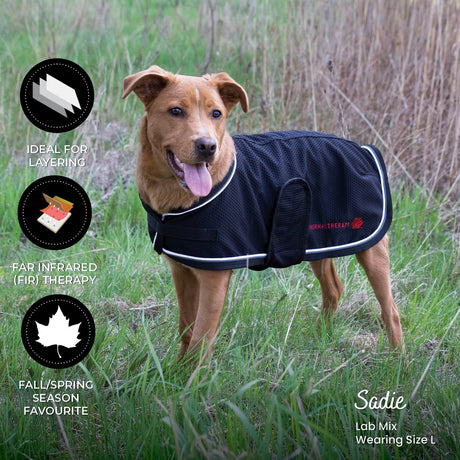 Thermal Therapy Mesh Dog Coat