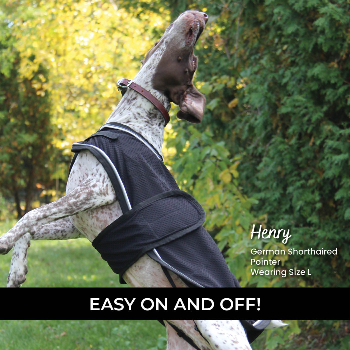 Thermal Therapy Mesh Dog Coat