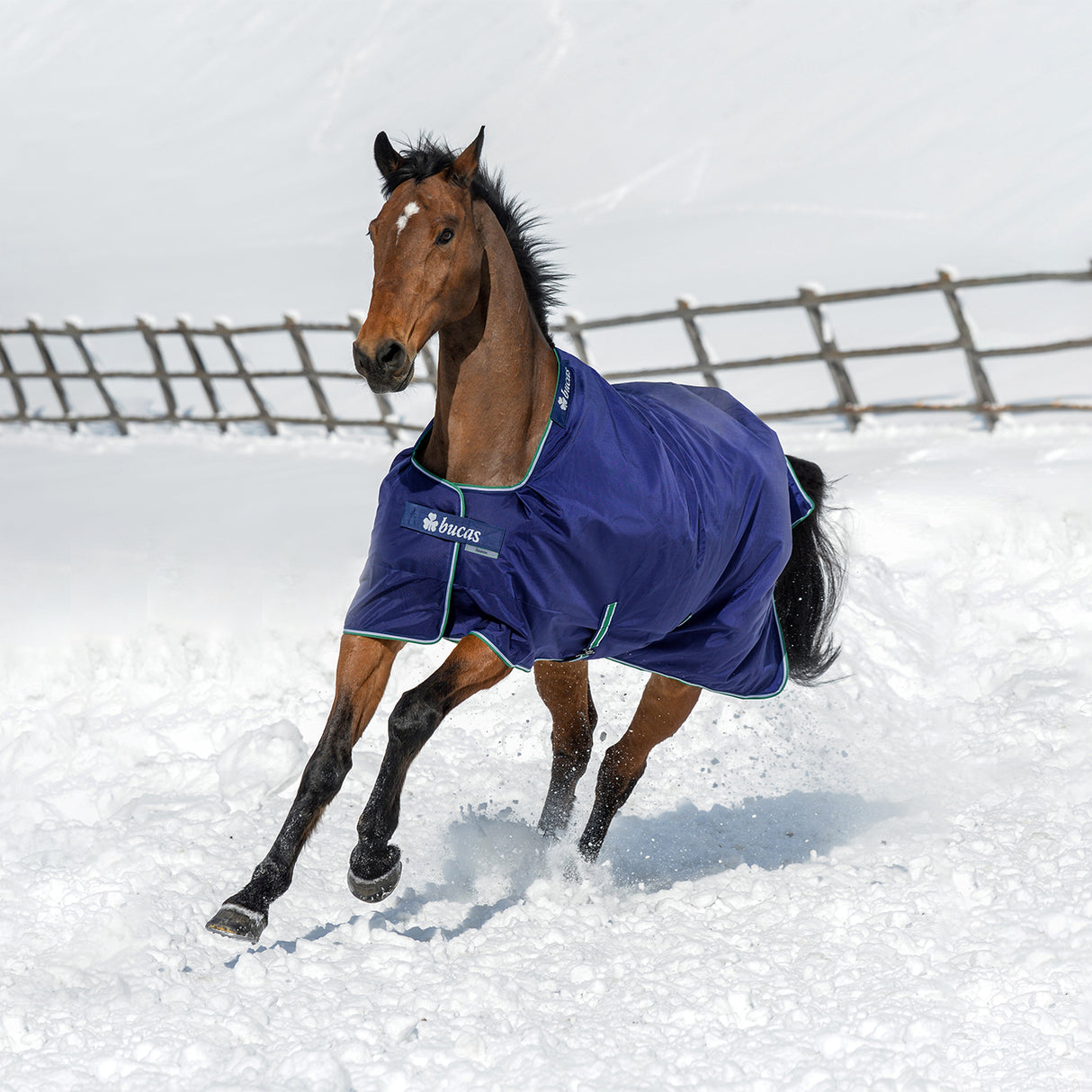 Bucas Smartex Extra Turnout Blanket 300 g