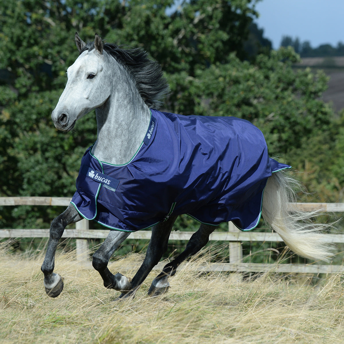 Bucas Smartex Turnout Medium 150 g Greenhawk Equestrian Sport