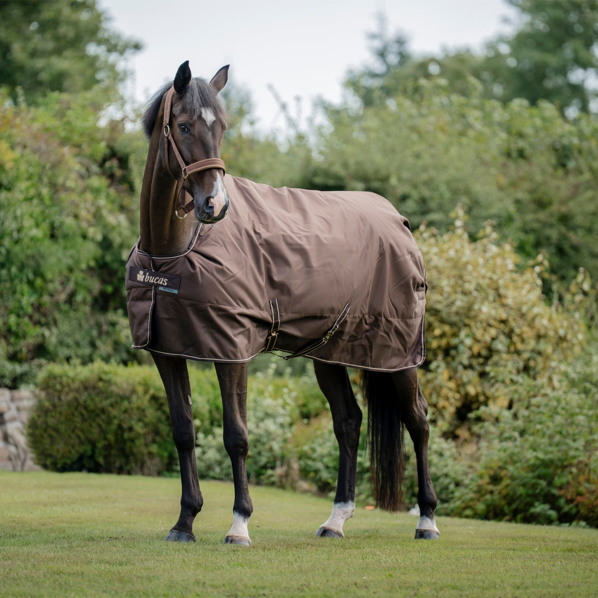 Bucas Irish Light Turnout Blanket 50 g