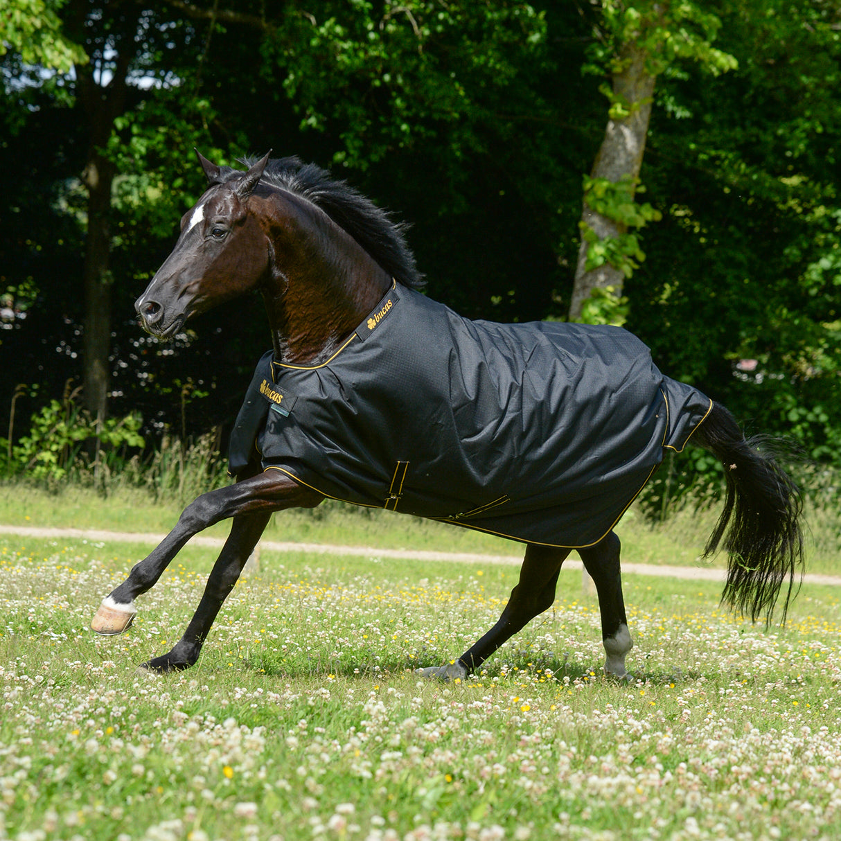 Bucas Irish Rain Turnout Blanket 0 g