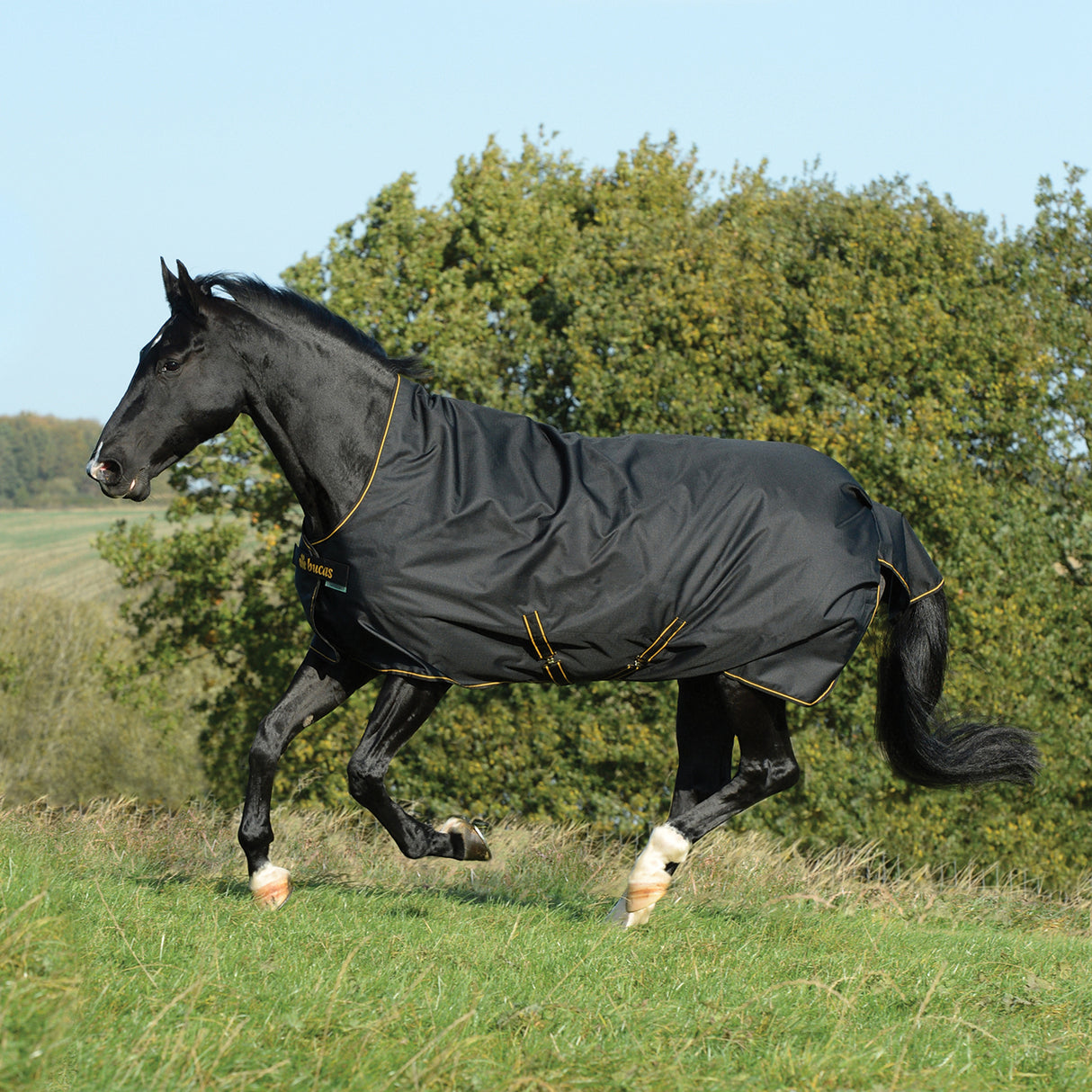 Bucas Irish Rain Turnout Blanket 0 g