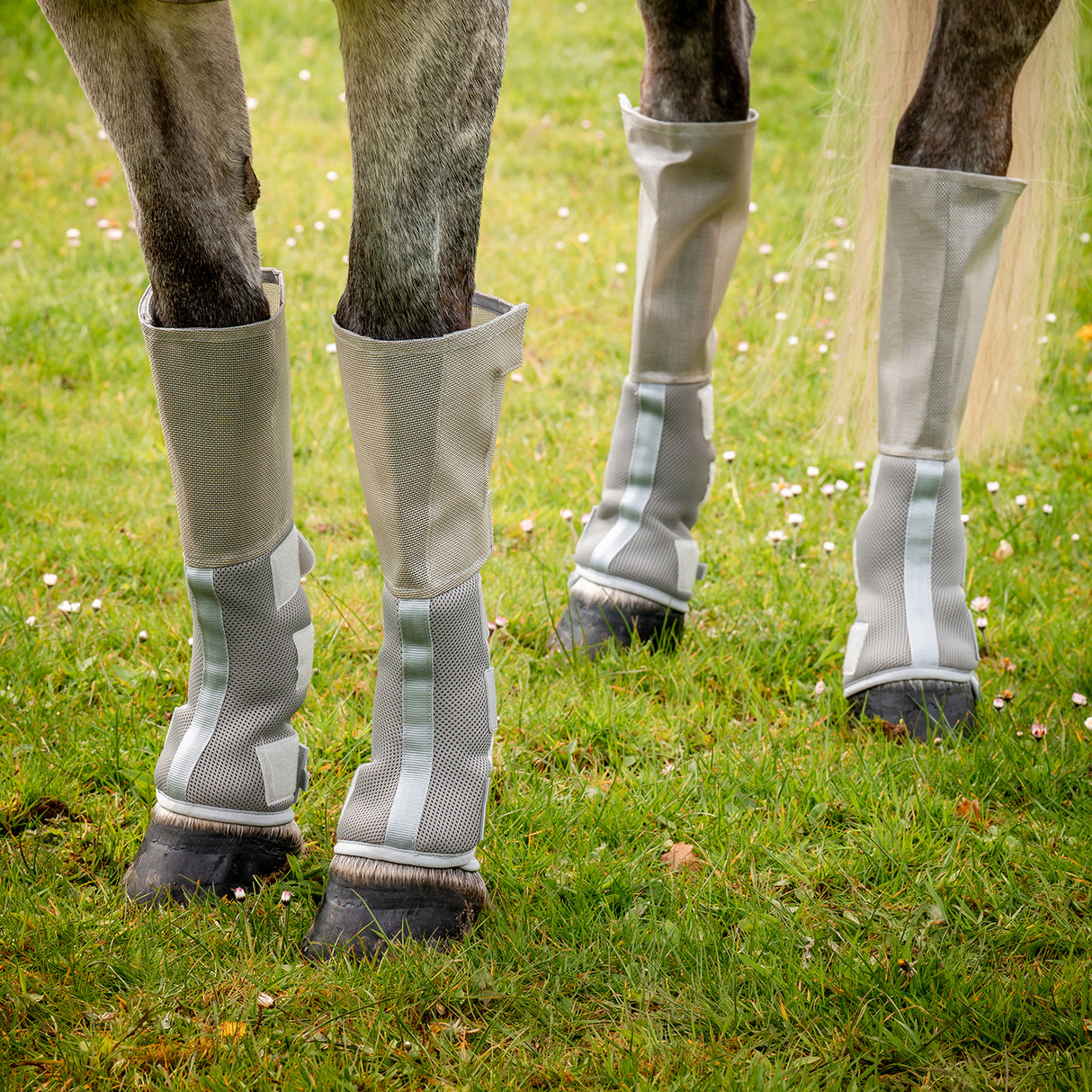 Bottes anti-mouches Rambo Tech-Fit