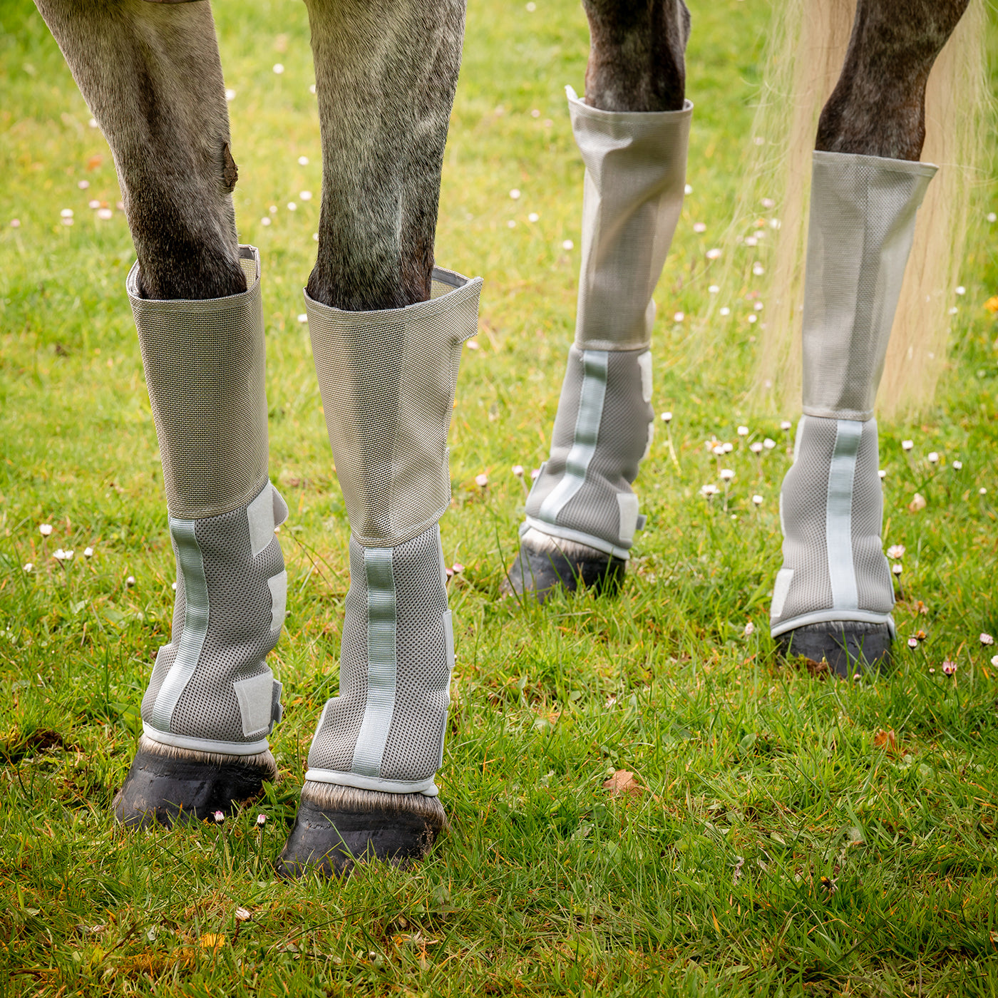 Bottes anti-mouches Rambo Tech-Fit