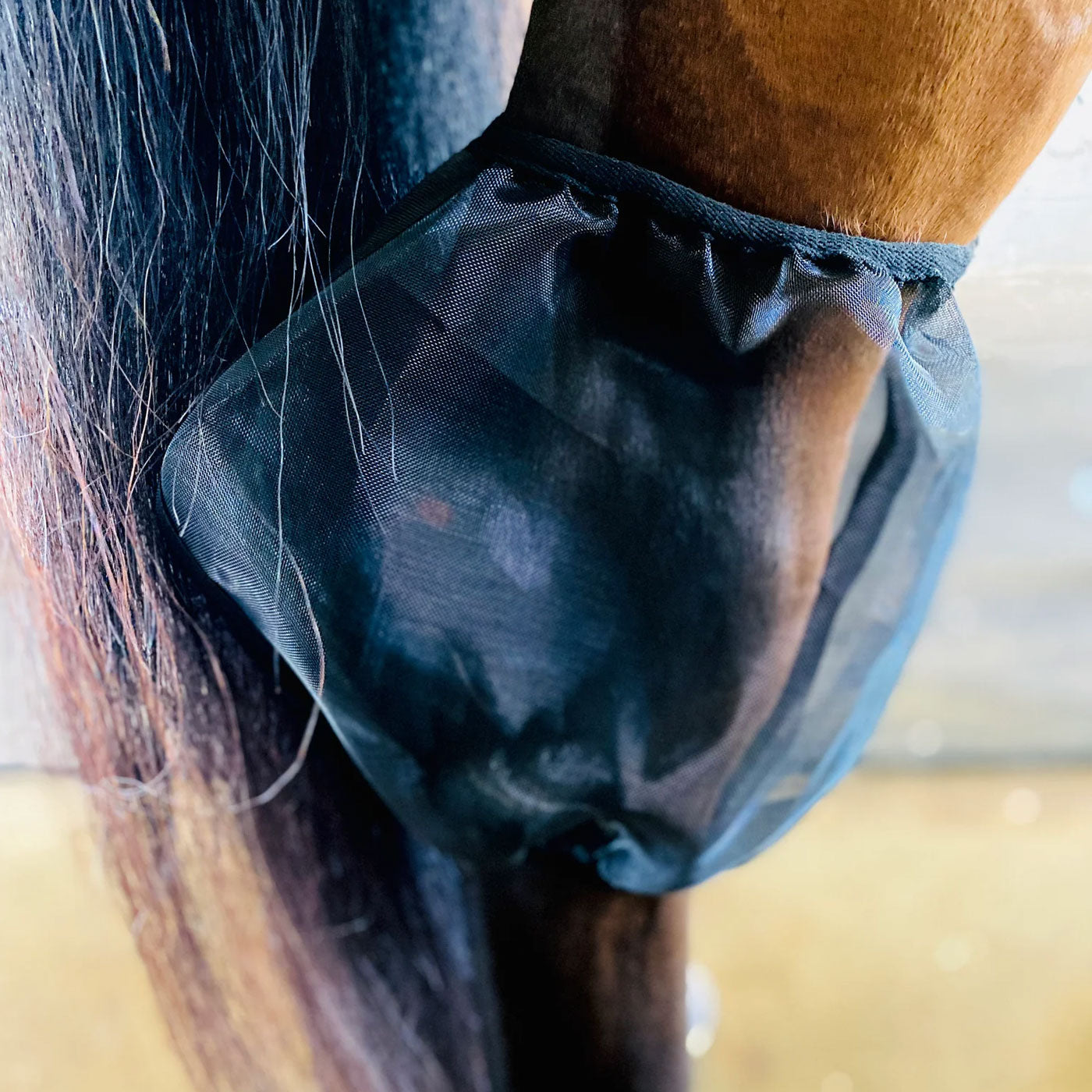 Ace Equestrian Com4rt Filets à jarrets en maille