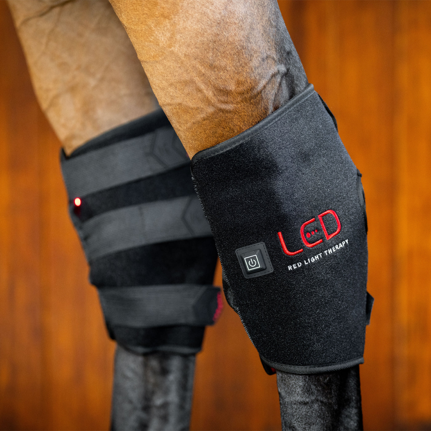 Guêtre de jarret gauche Horseware à LED et luminothérapie rouge