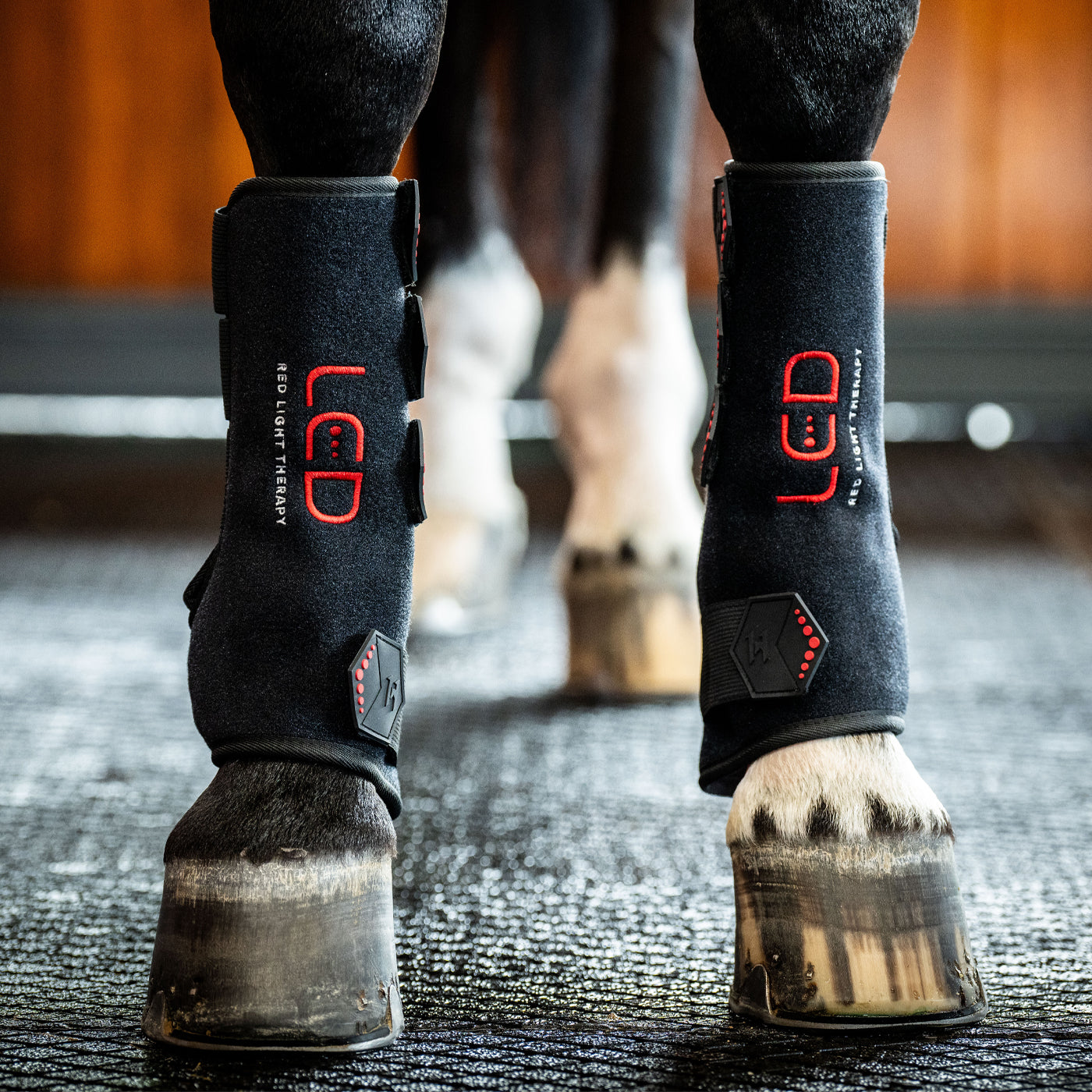 Bandage de jambe gauche Horseware à lumière rouge LED