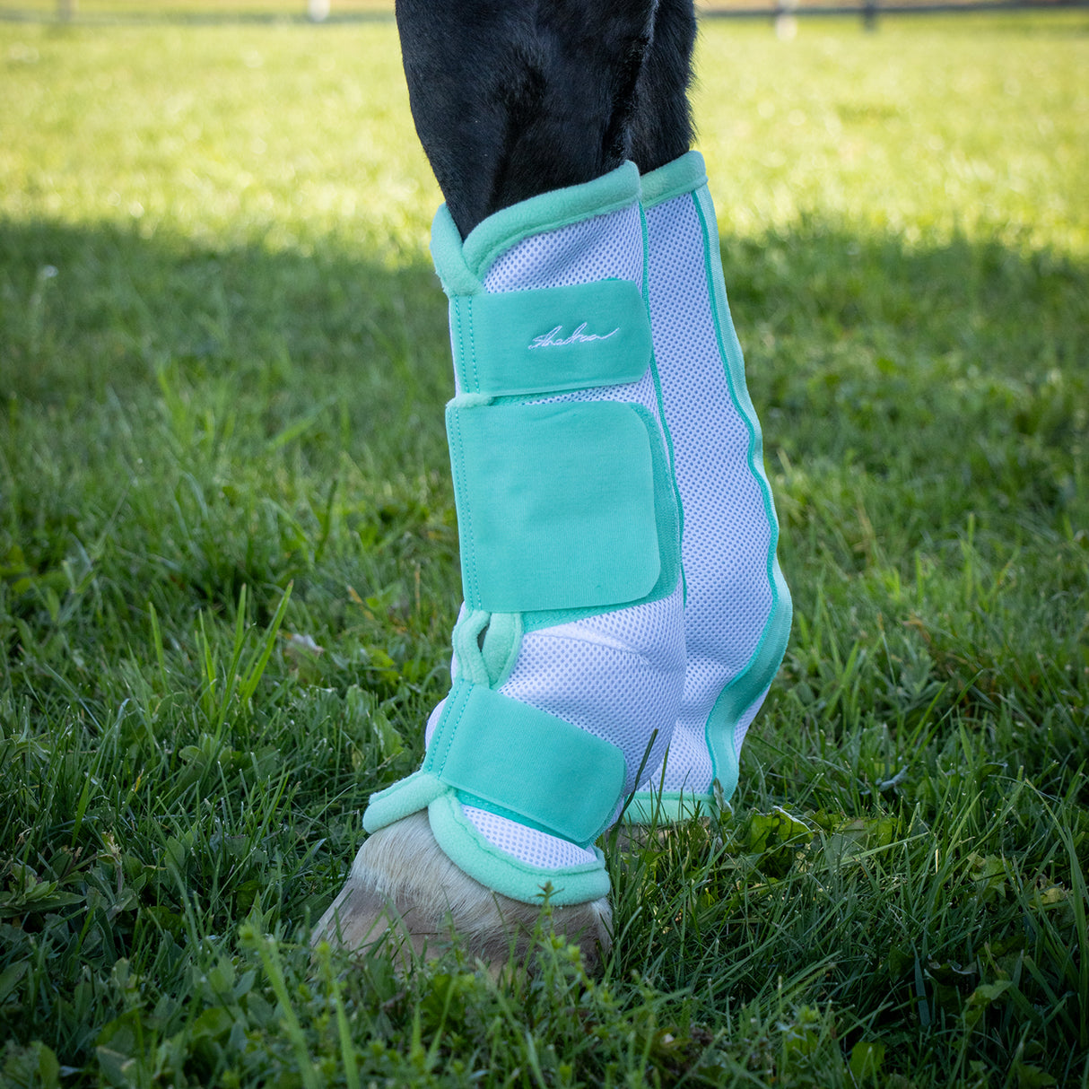 Bottes anti-mouches Shedrow Flamingo Breeze