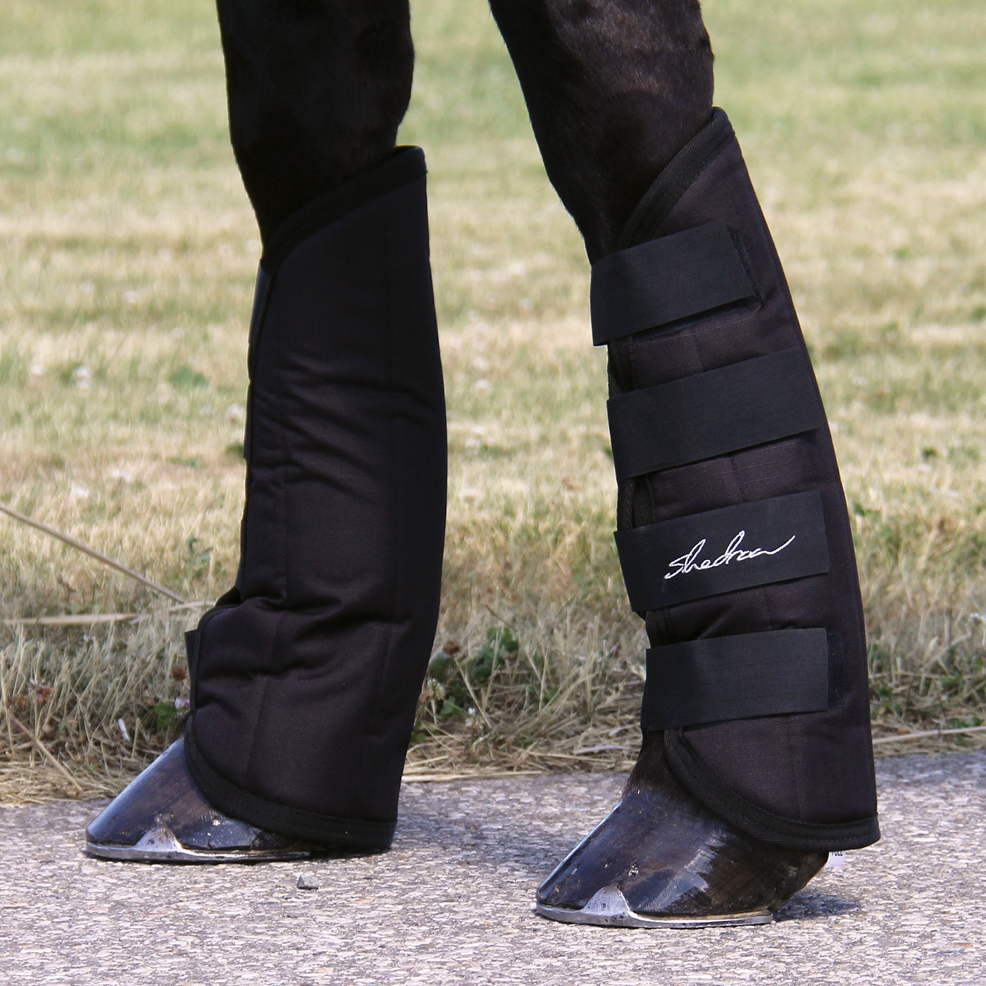 Bottes d'expédition Shedrow