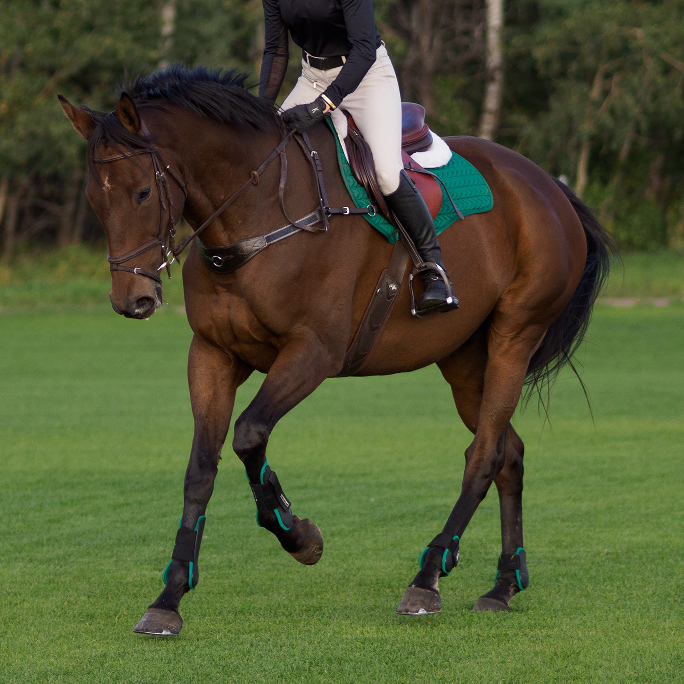Bottes ouvertes Shedrow avec doublure colorée