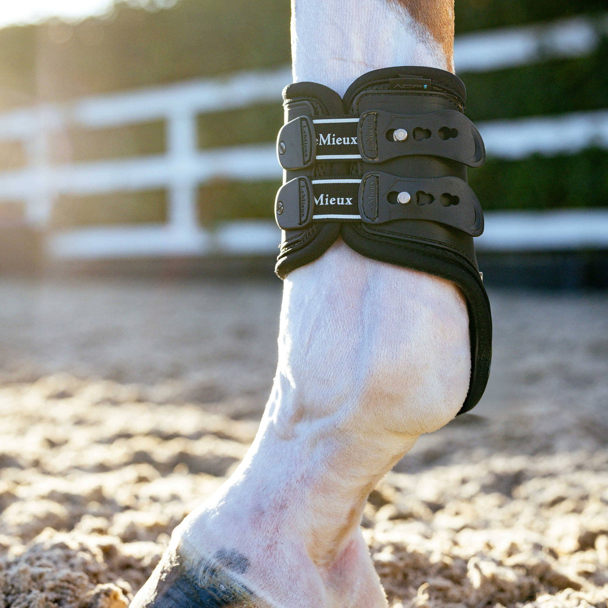 LeMieux EXO Flex Fetlock Boots