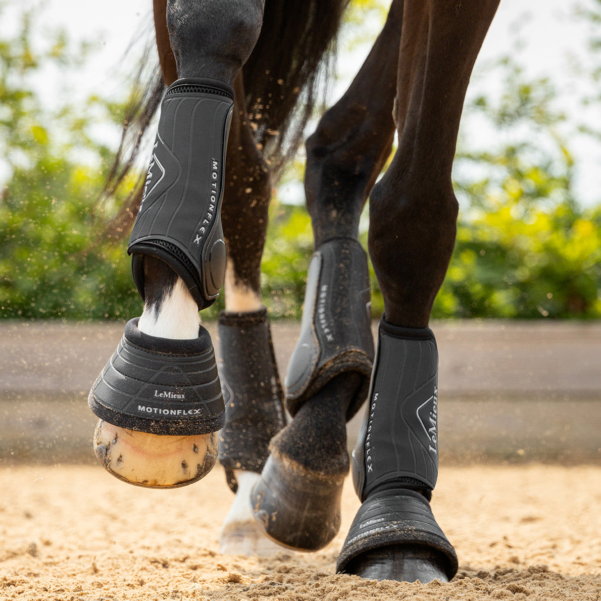 Guêtres de dressage LeMieux Motionflex