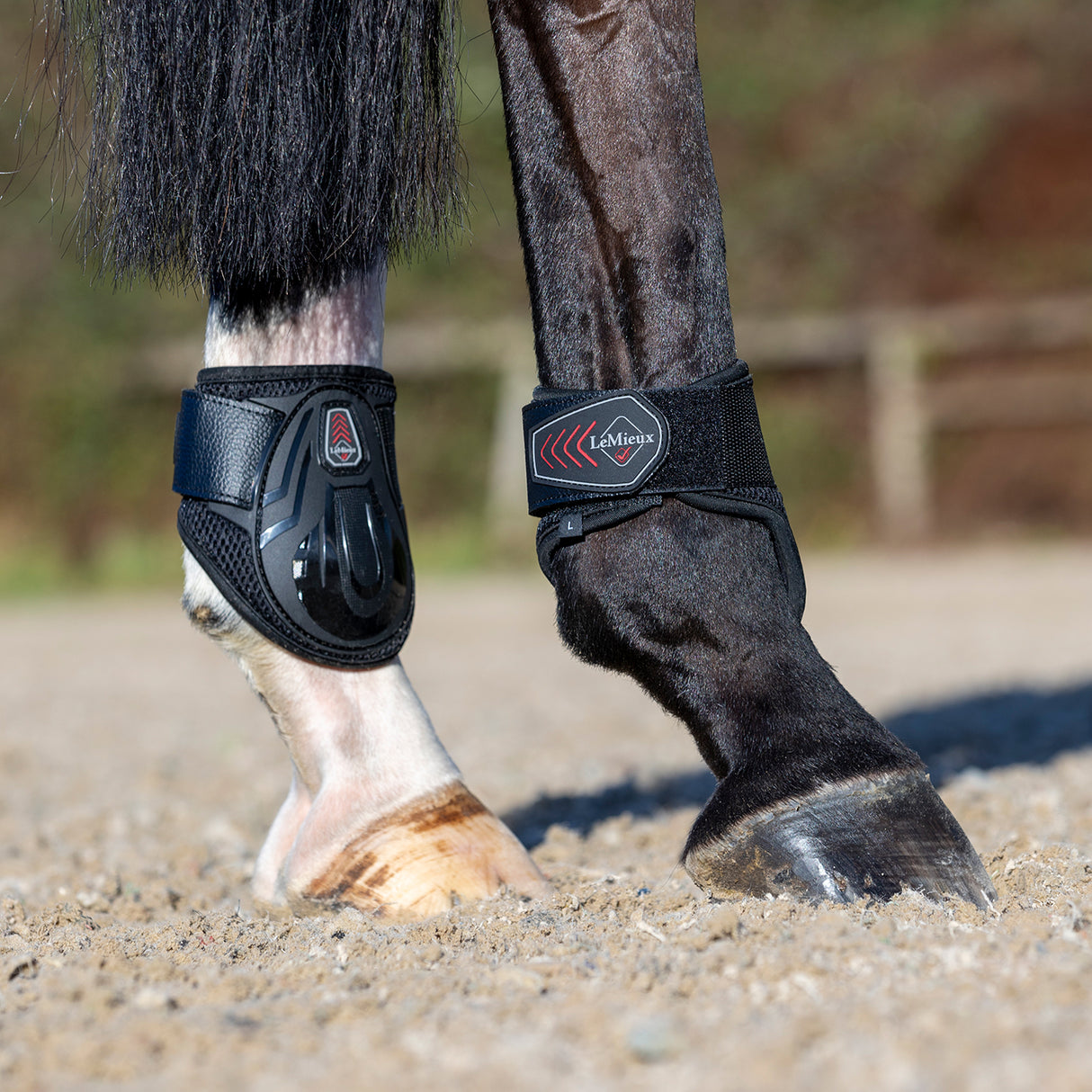 LeMieux Derby Projump Fetlock Boots