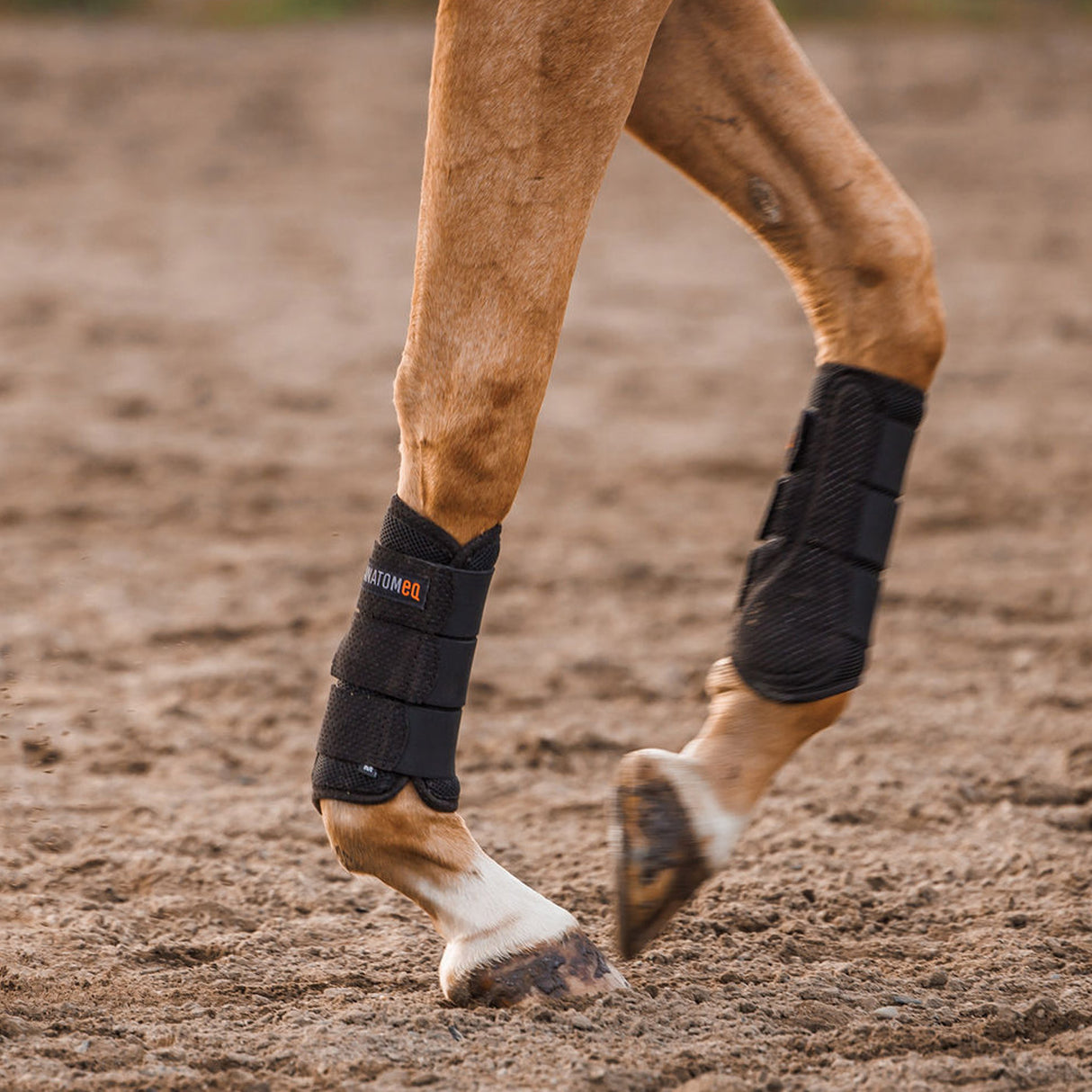 Anatomeq AirGuard Brush Boots