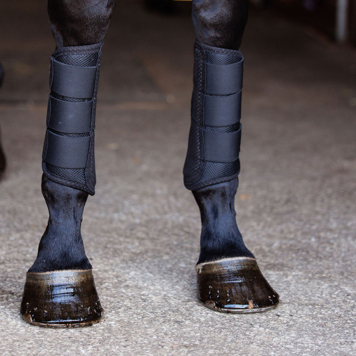 Anatomeq AirGuard Brush Boots