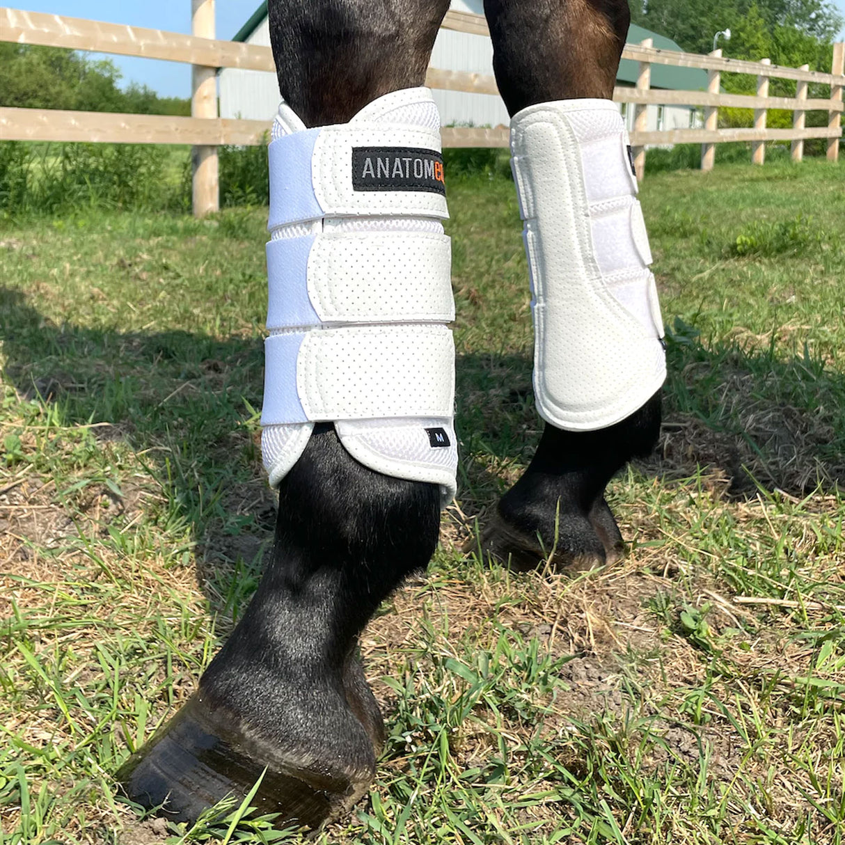 Anatomeq AirGuard Brush Boots