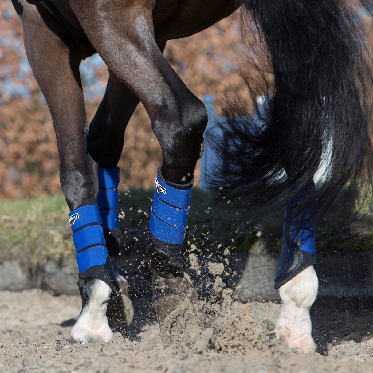 Bottes de brossage LeMieux Grafter