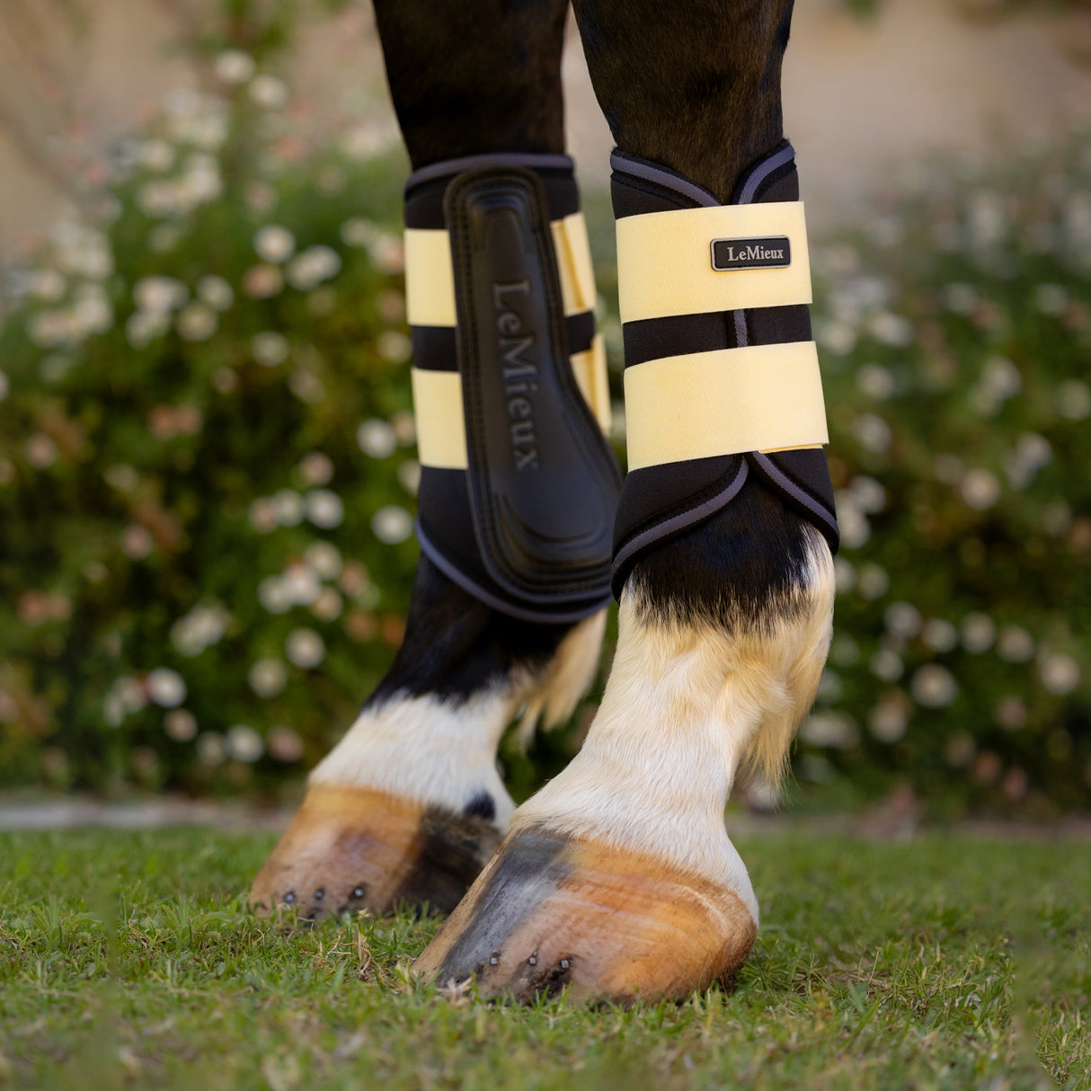 LeMieux Grafter Brushing Boots