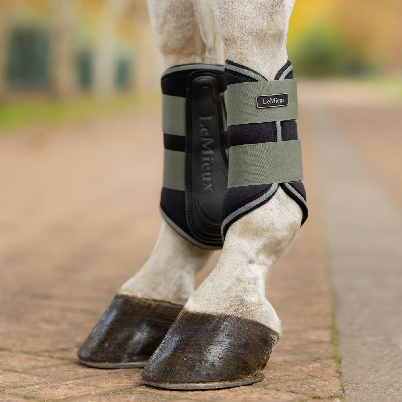 LeMieux Grafter Brushing Boots