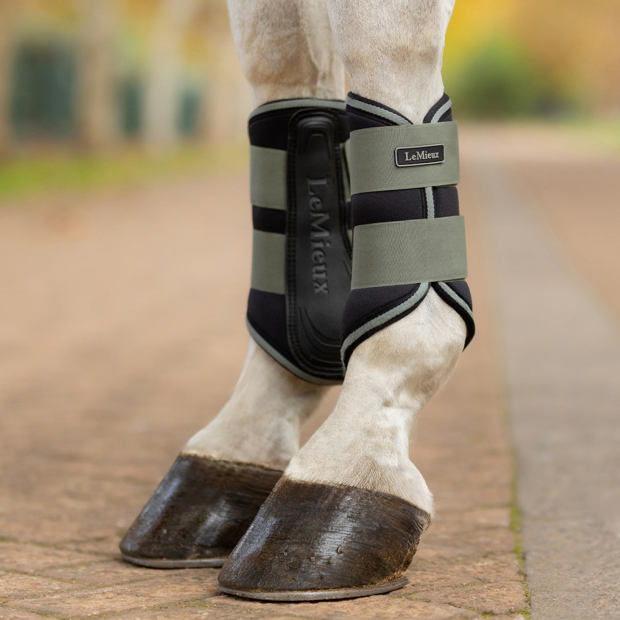 Bottes de brossage LeMieux Grafter