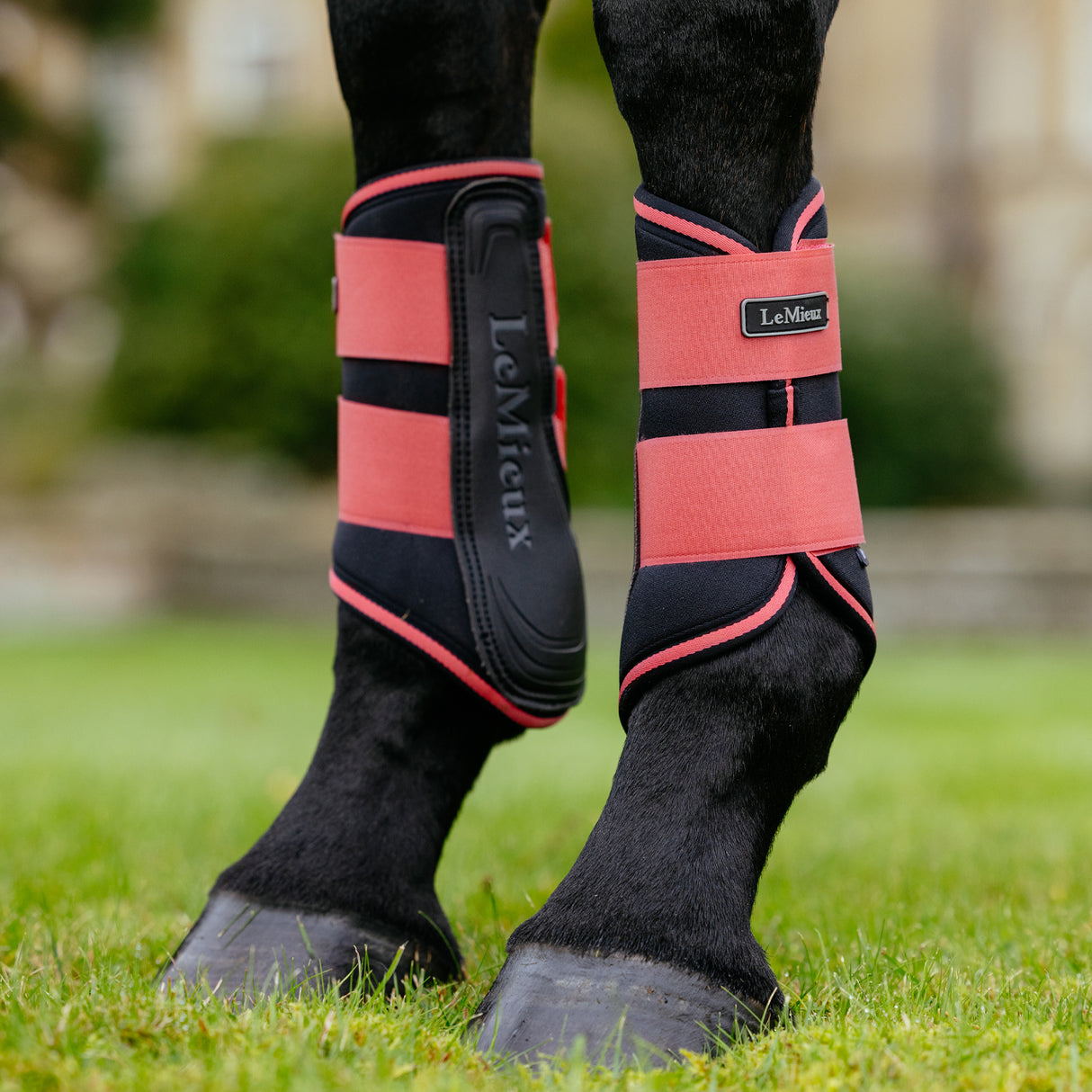 Bottes de brossage LeMieux Grafter