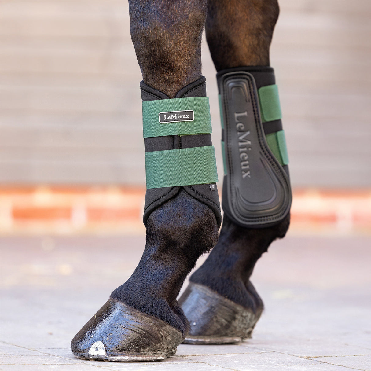 Bottes de brossage LeMieux Grafter