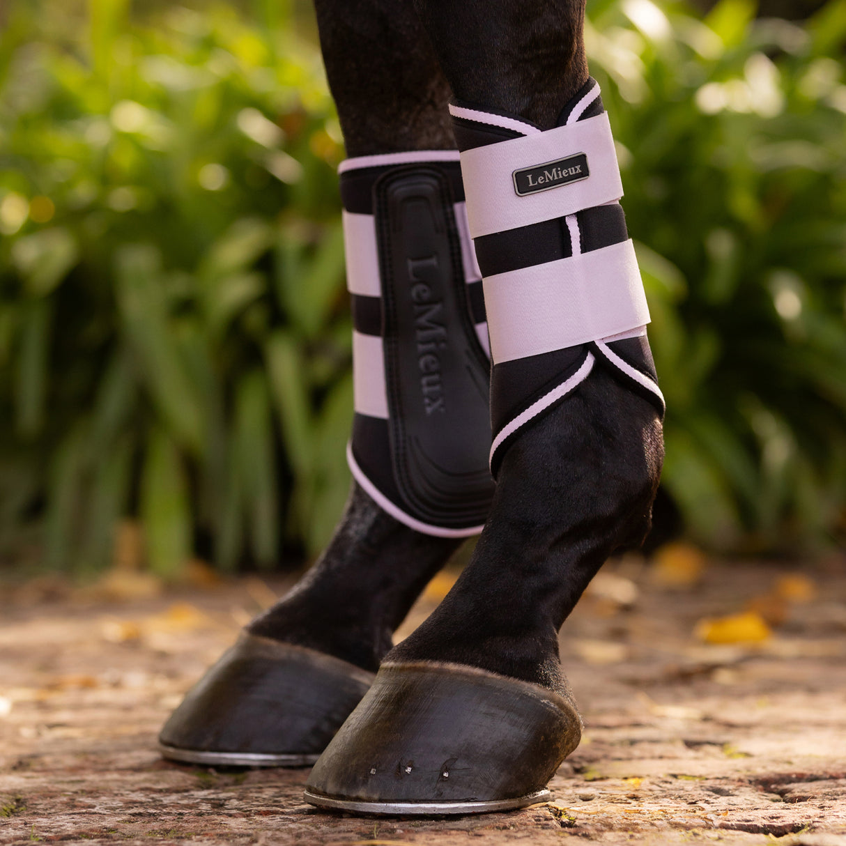 Bottes de brossage LeMieux Grafter