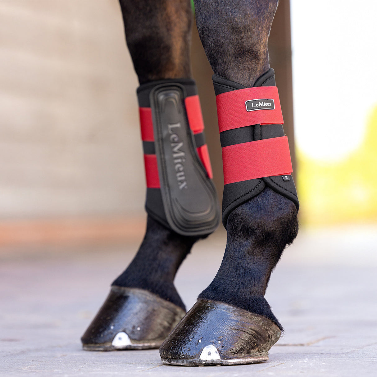 Bottes de brossage LeMieux Grafter