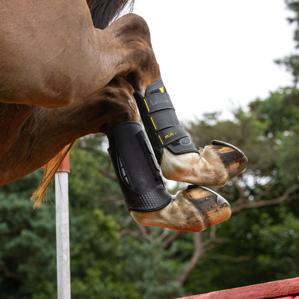 LeMieux MIMSafe XC Hind Boots