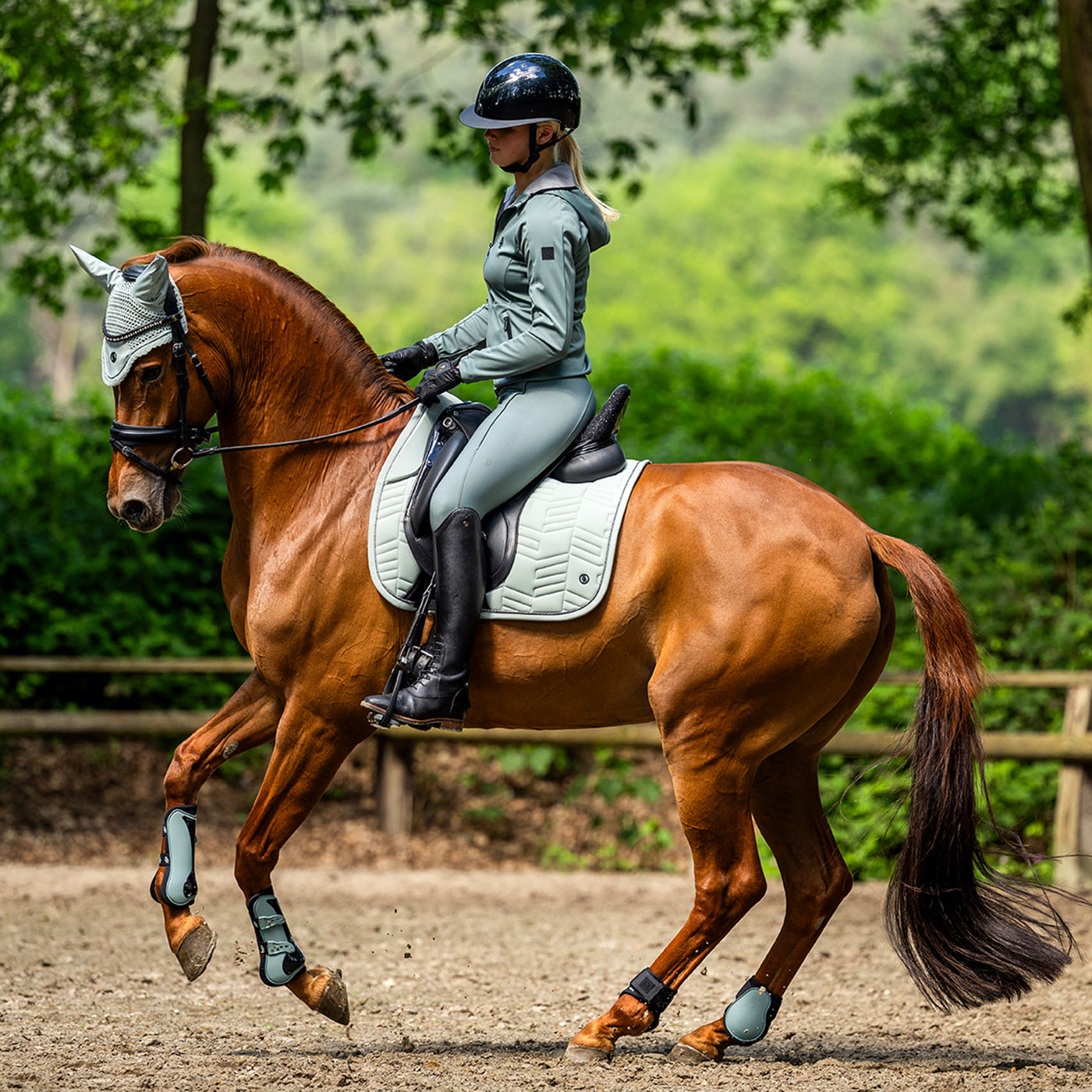Guêtres de tendon BR Igmar