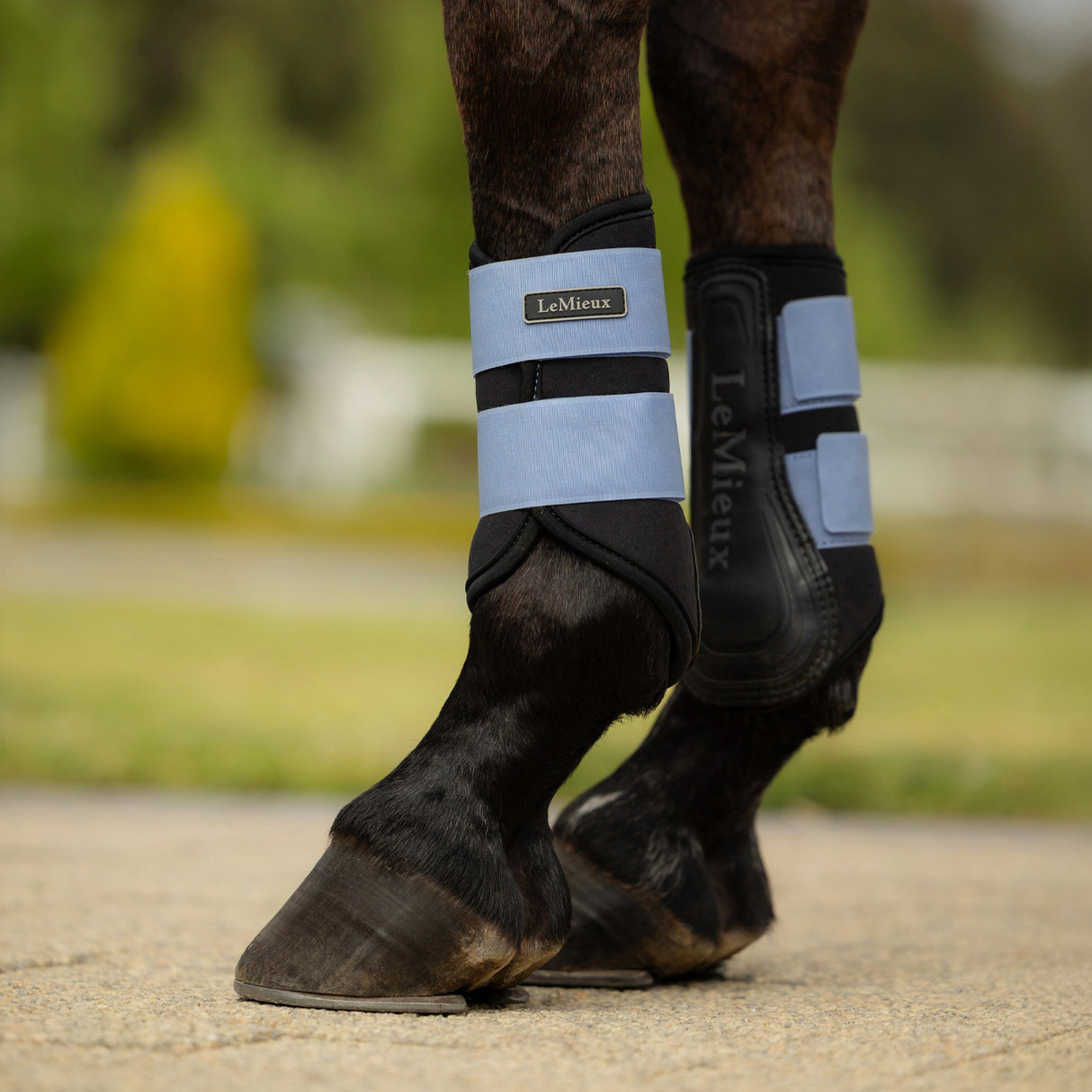 LeMieux Air Tek Grafter Brushing Boots