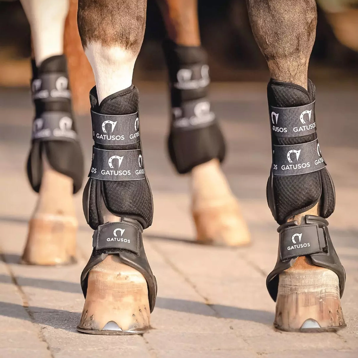 Gatusos Genuins Dressage Front Tendon Horse Boots
