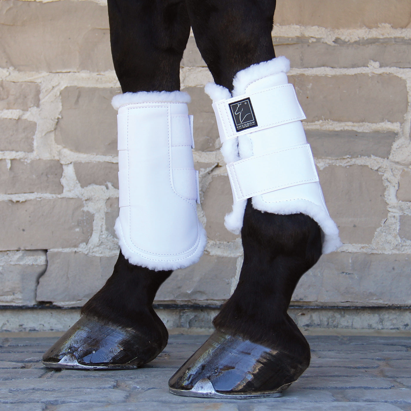 Bottes de sport Shedrow