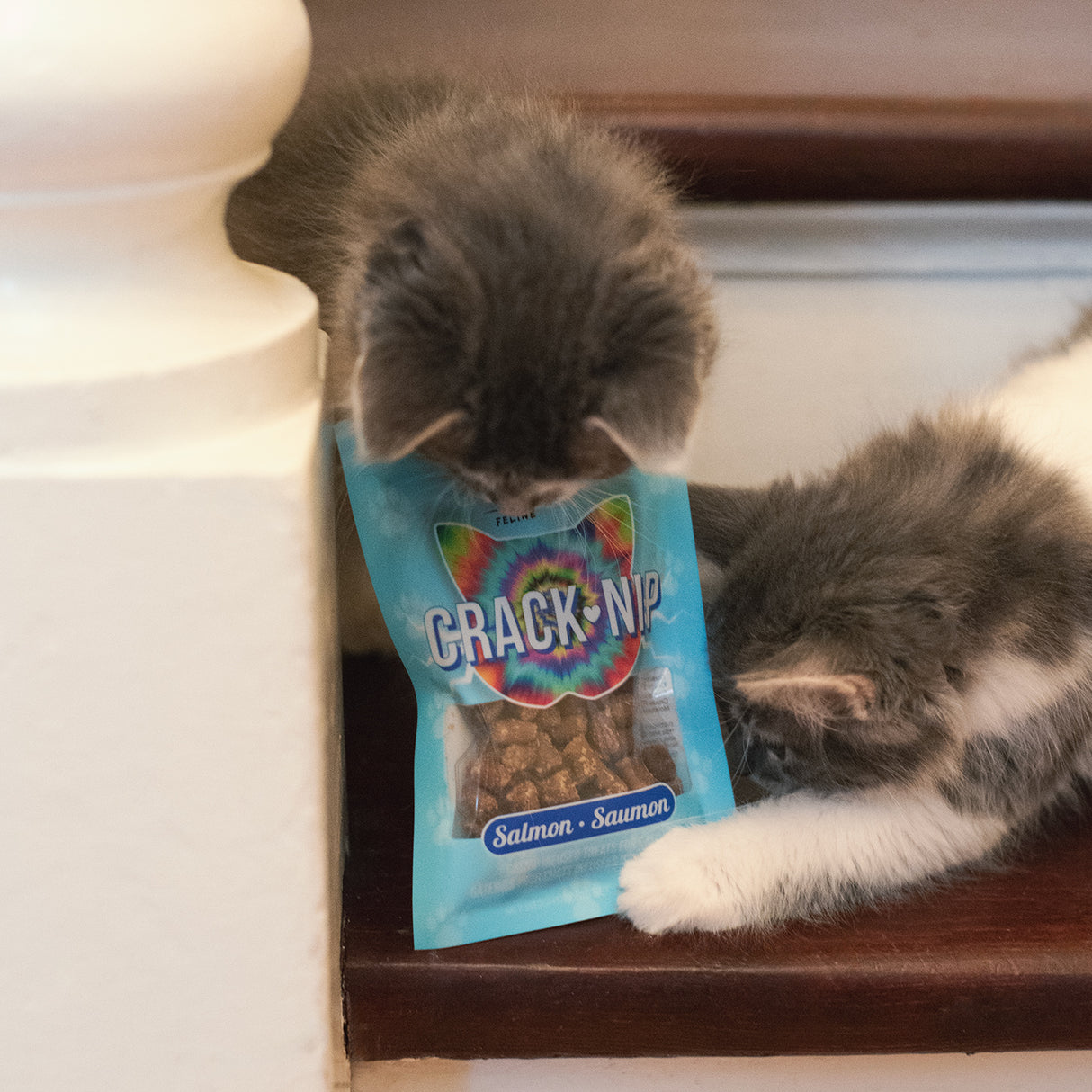 This & That Crack Nip Salmon Cat Treats 43 g