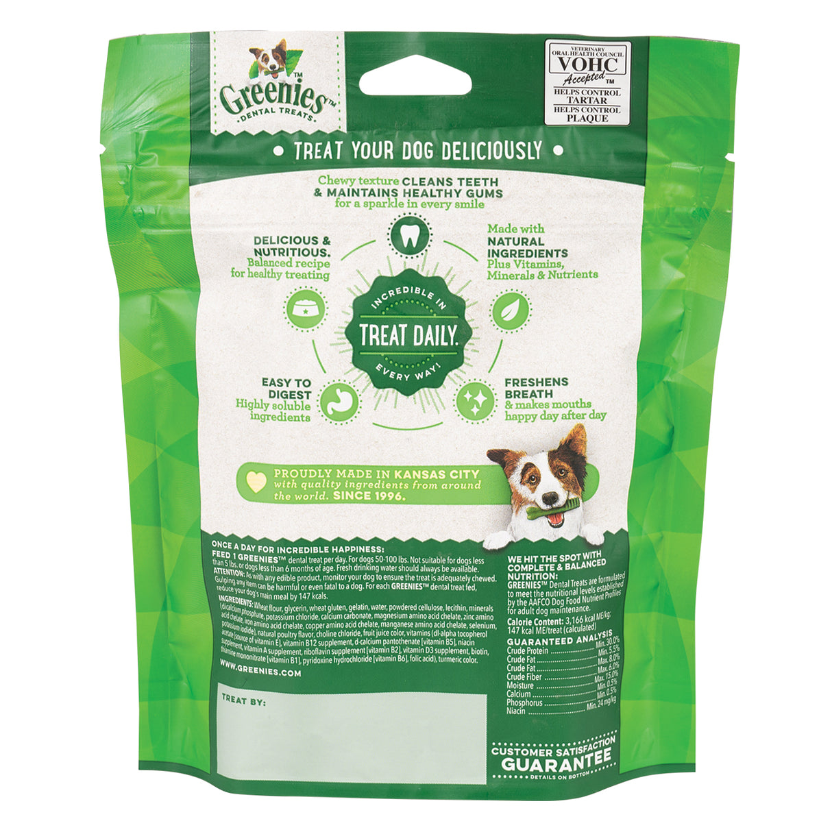 Greenies Mini Treat Pak Large Dog Treats 170 g