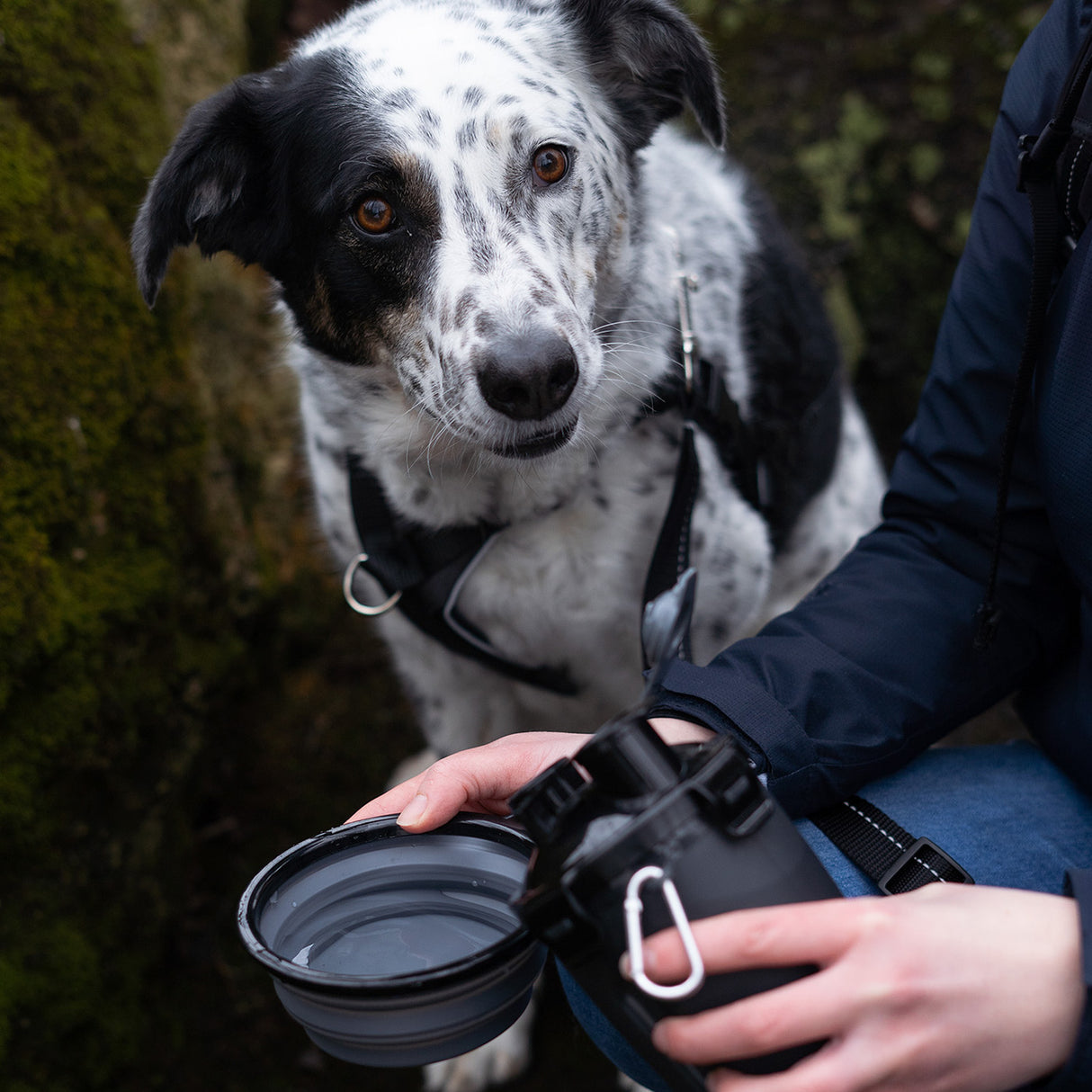 Muttluks MuTTravel Bottle