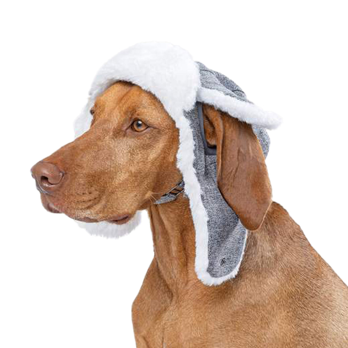 Canada Pooch Arctic Air Dog Hat