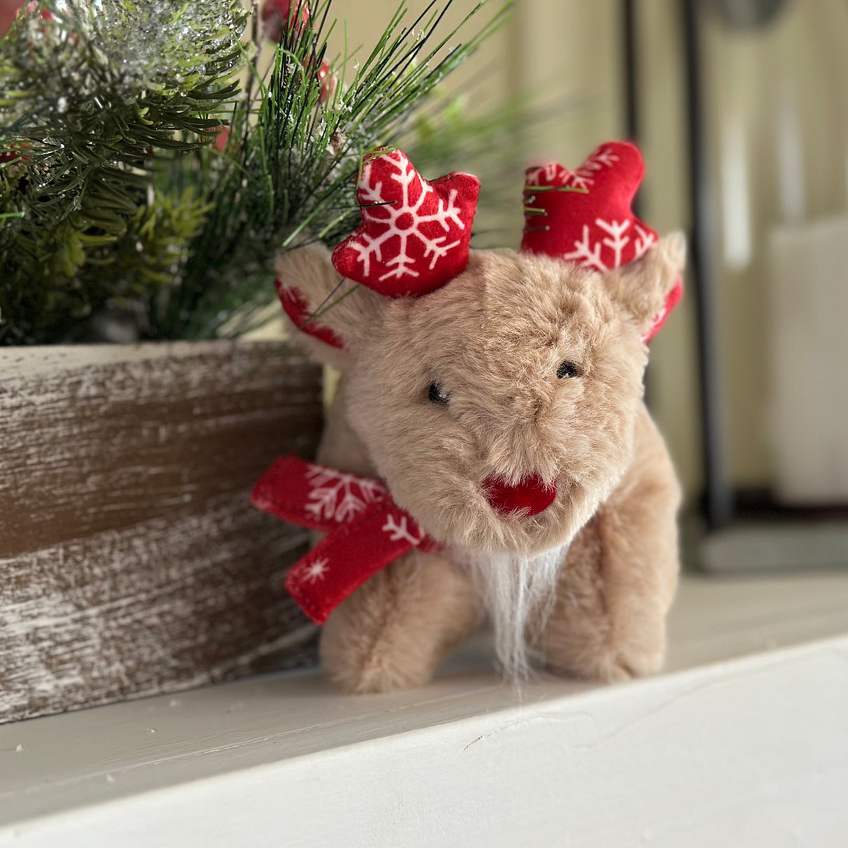 Hugglehounds Squooshie Rudy Renne