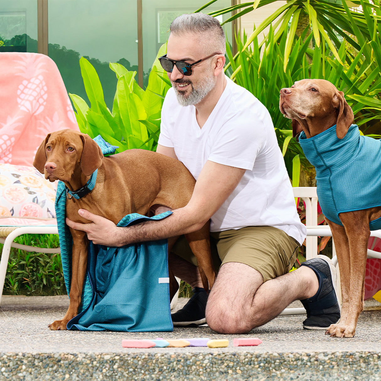 RC Pet Tag Along Towel