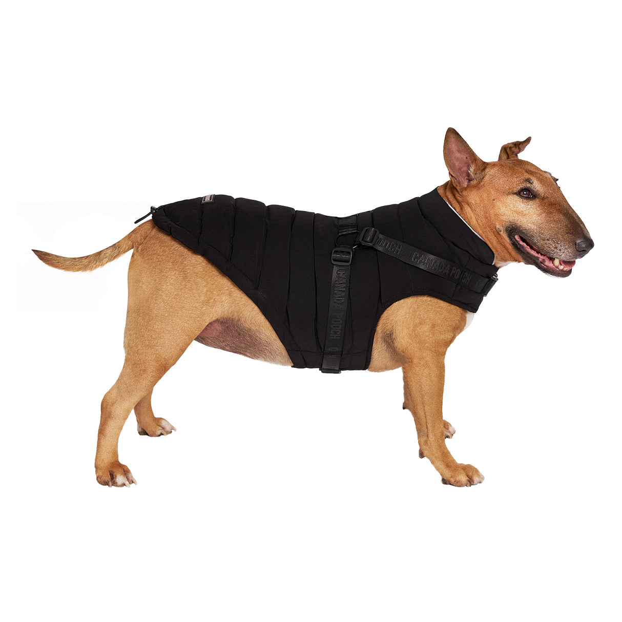 Canada Pooch The Harness Puffer