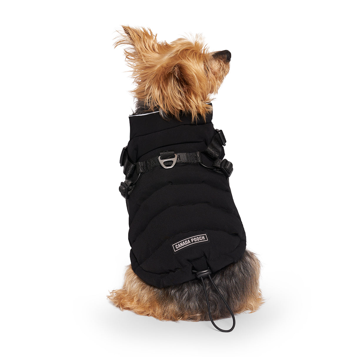 Canada Pooch The Harness Puffer