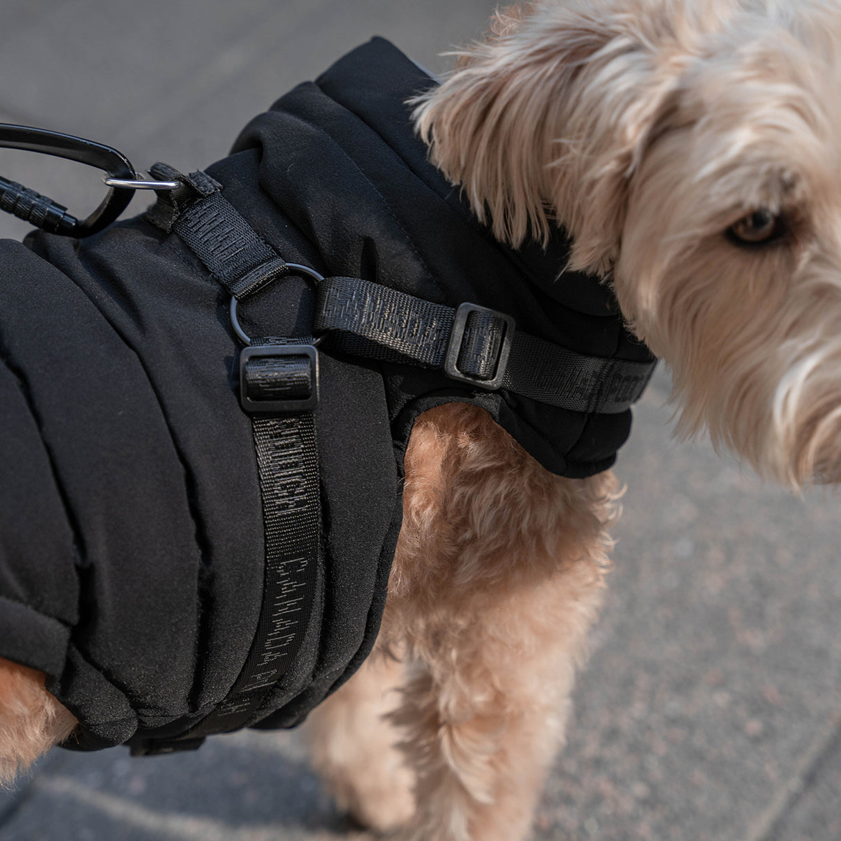 Canada Pooch The Harness Puffer