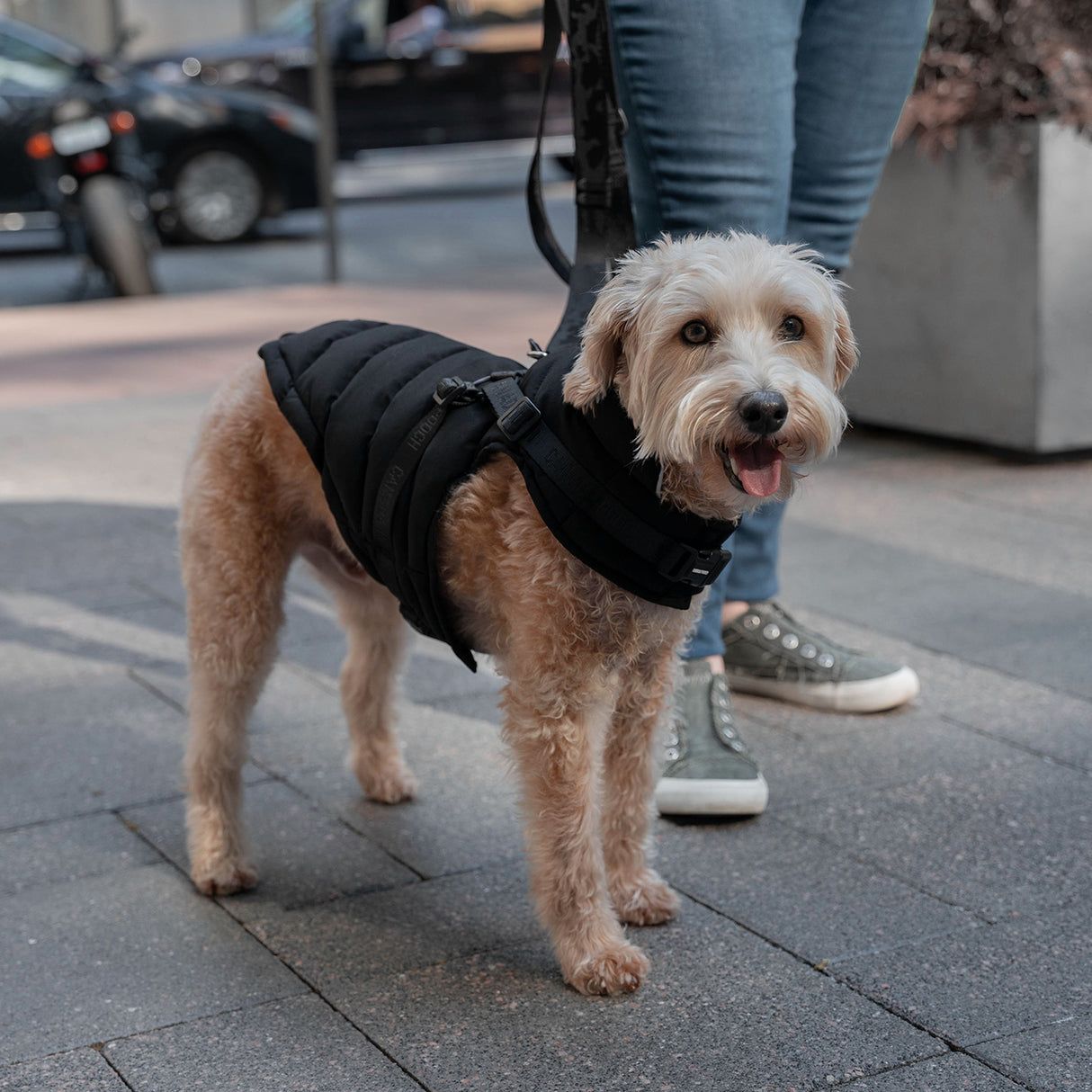 Canada Pooch The Harness Puffer