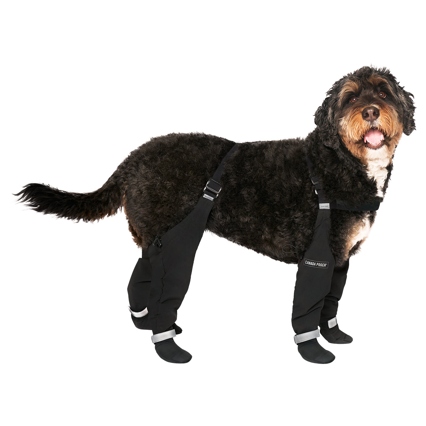 Canada Pooch Suspender Boots - Size 2