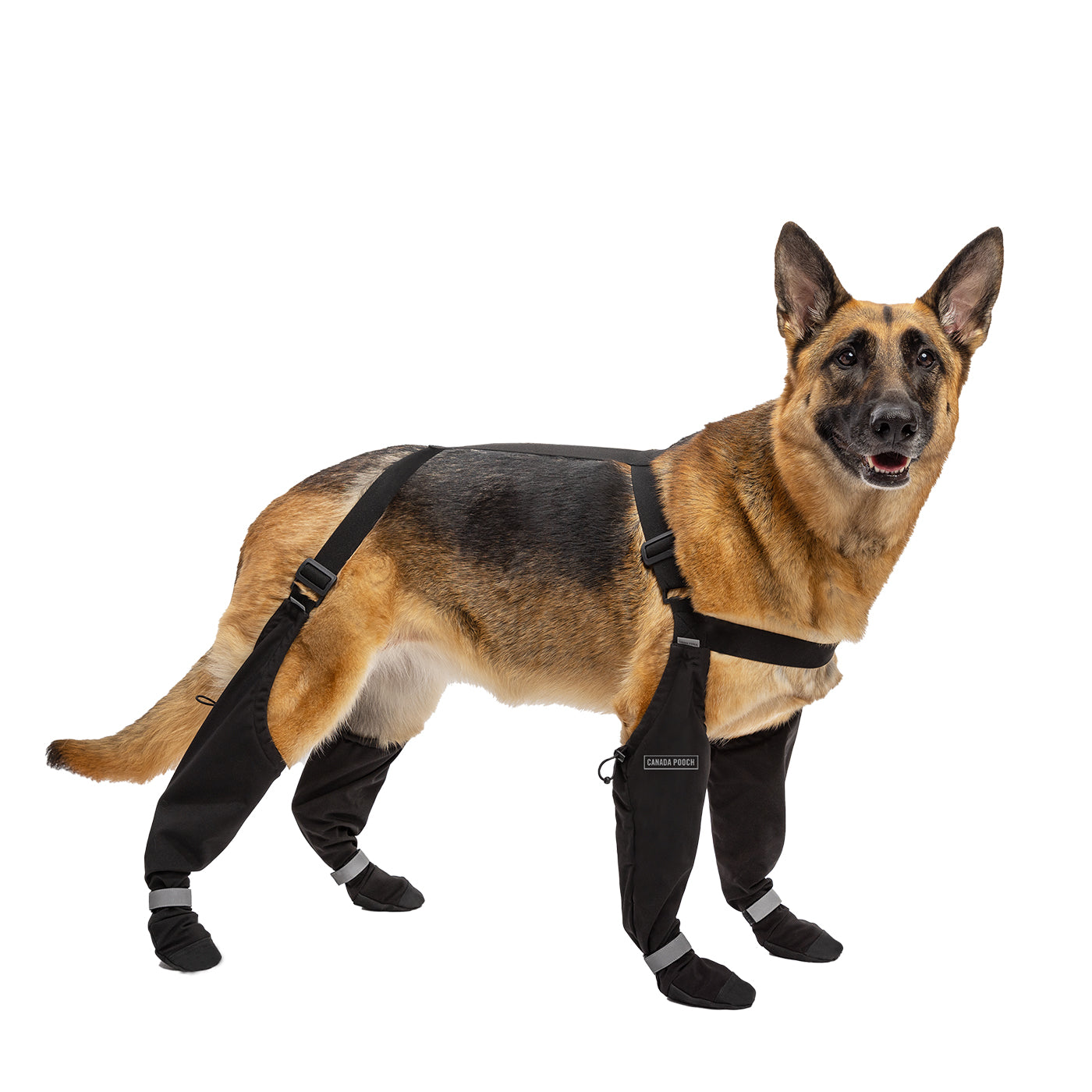 Canada Pooch Suspender Boots - Size 2