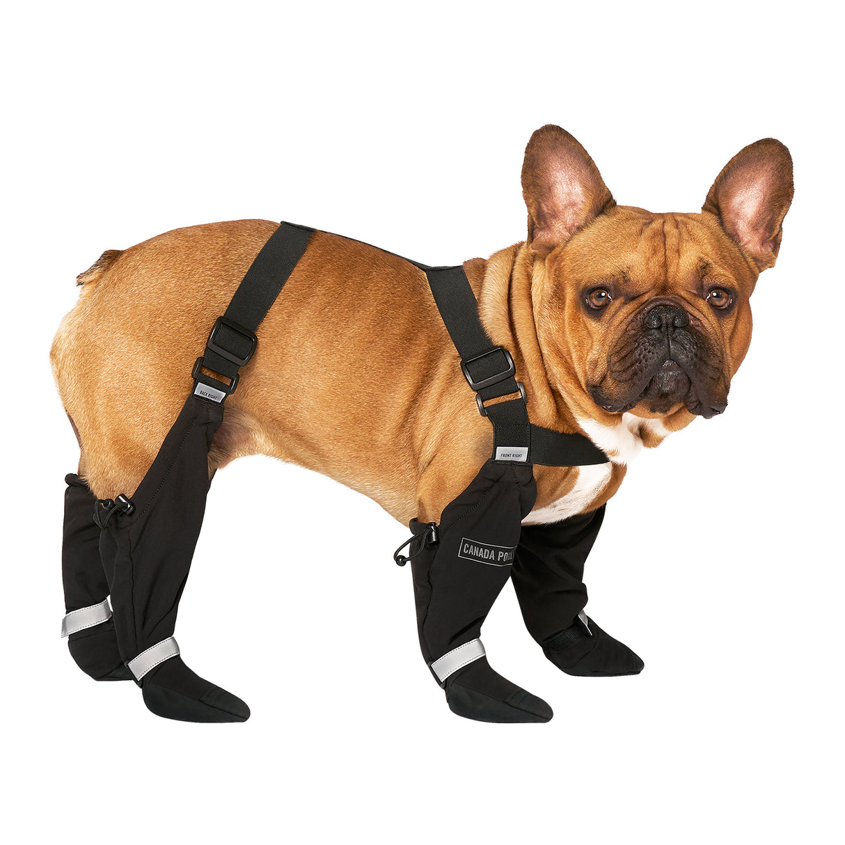 Canada Pooch Suspender Boots - Size 1 Short