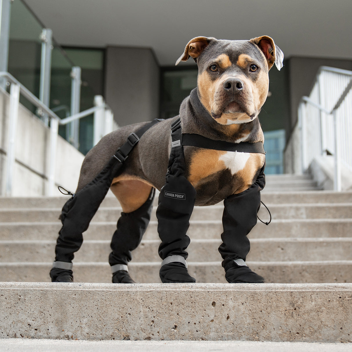 Canada Pooch Suspender Boots - Size 1 Short