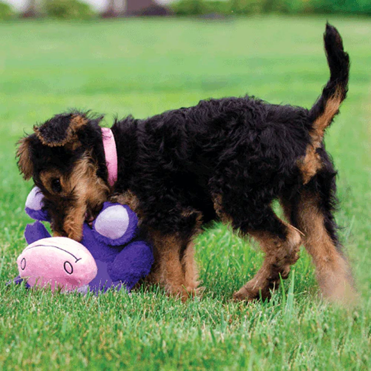 Hero Dog Toy Chuckles Cow 2.0