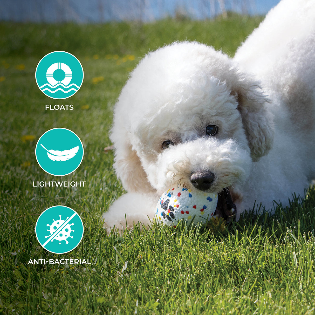 Ballon de football Shedrow K9 FlexiPlay